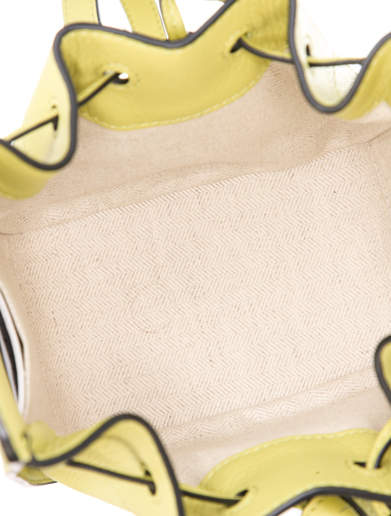 Loewe Calfskin Hammock Mini